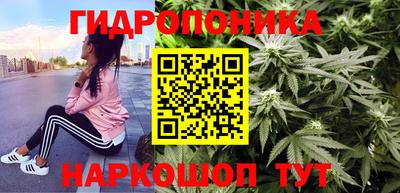 сатива Кулебаки