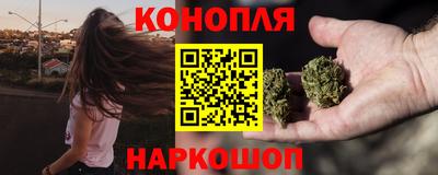 сатива Кулебаки