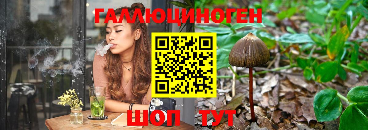 Заводоуковск  Галлюциногенные грибы MAGIC MUSHROOMS  Вход с VPN 